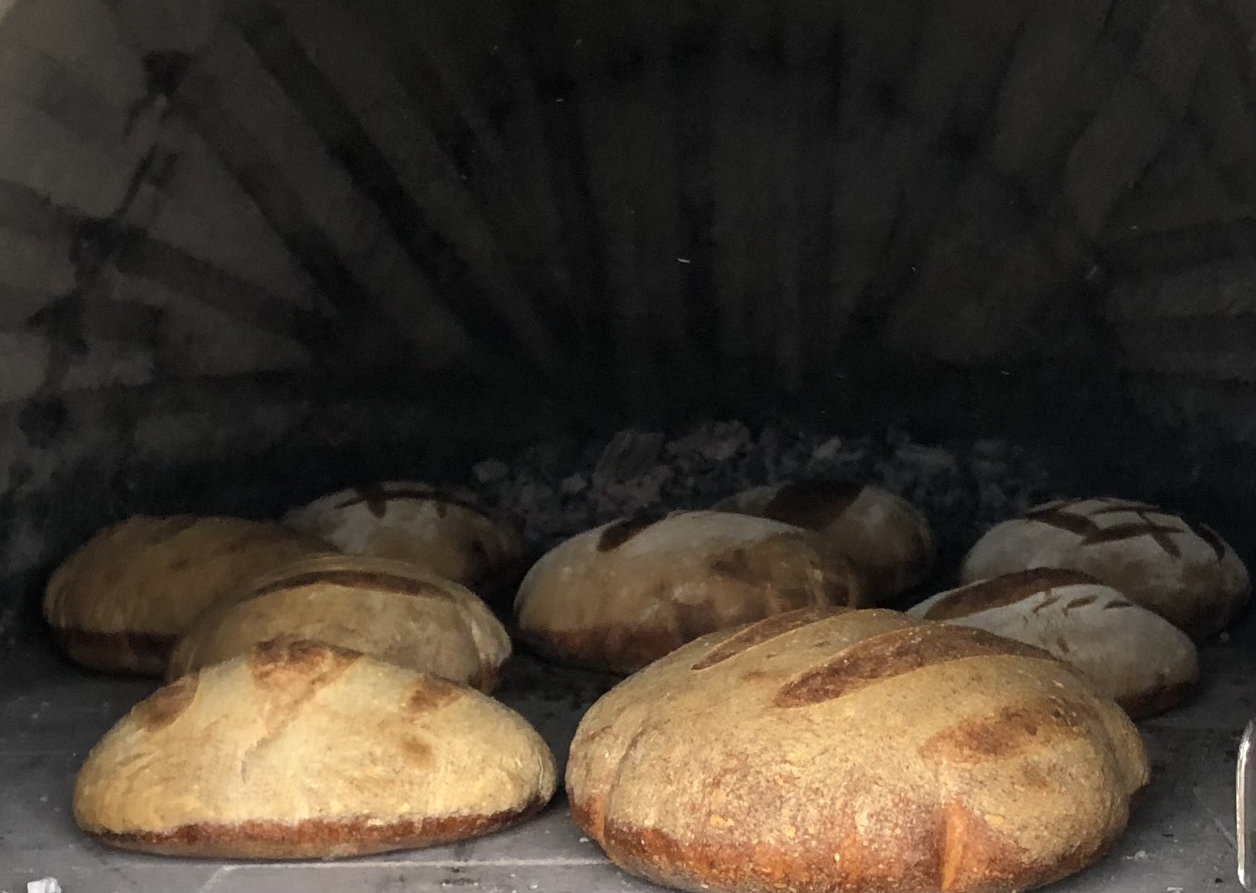 Four en fonctionnement lors d’une cuisson